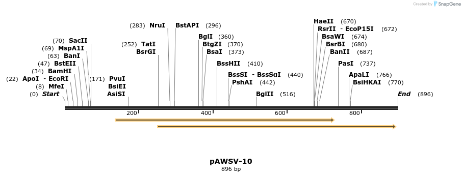 136448_map