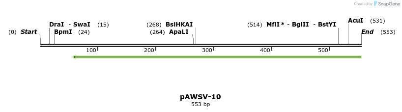 136449_map