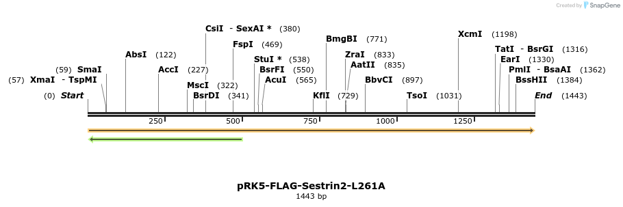 136454_map