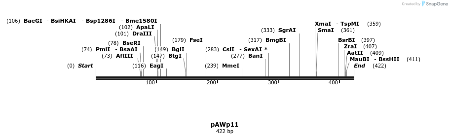 136455_map