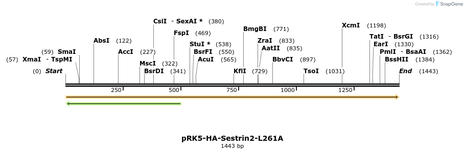 136456_map