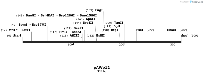 136459_map