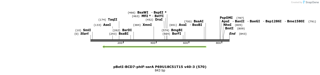 136462_map