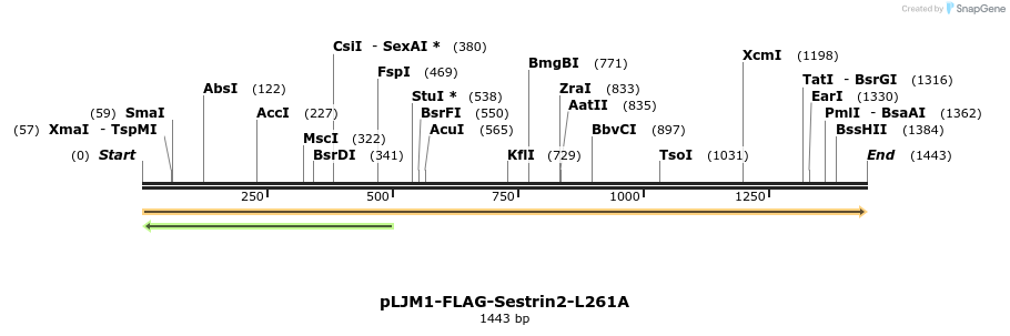 136464_map