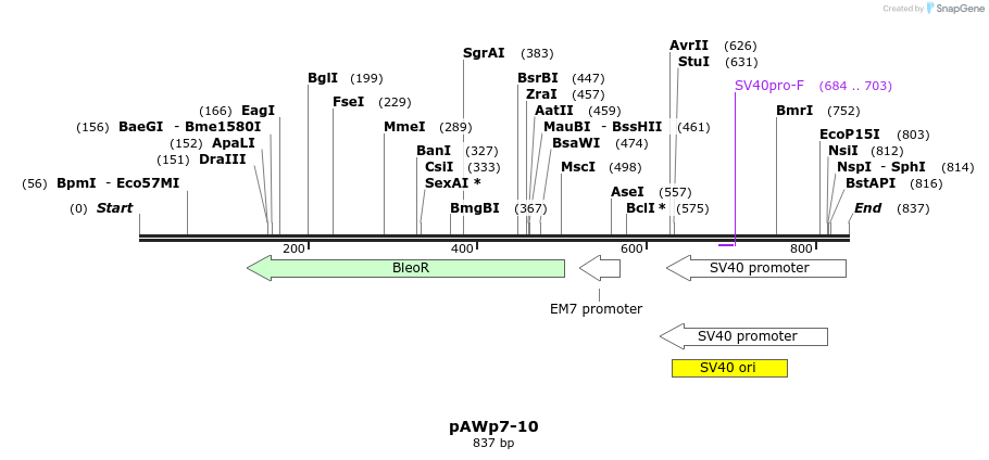 136465_map