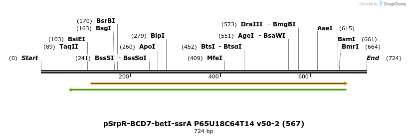 136470_map