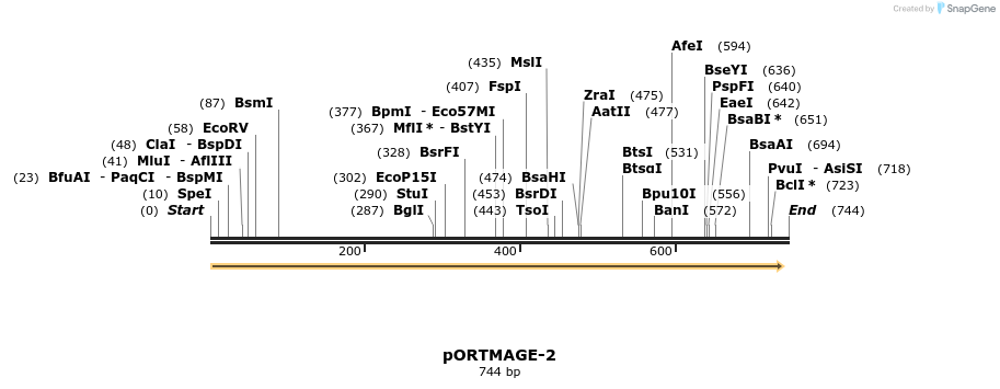 136471_map