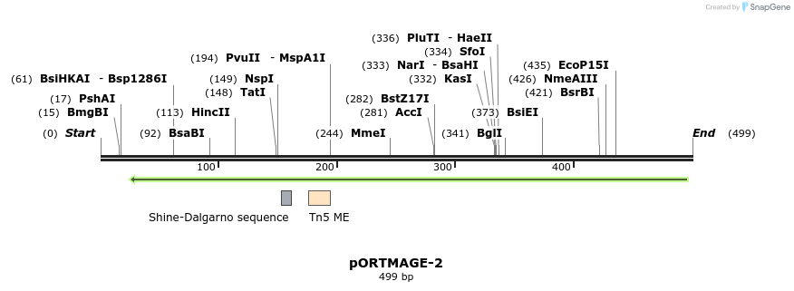 136472_map