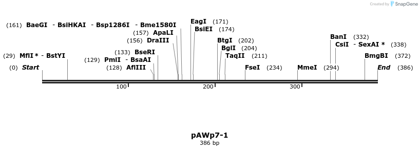 136473_map