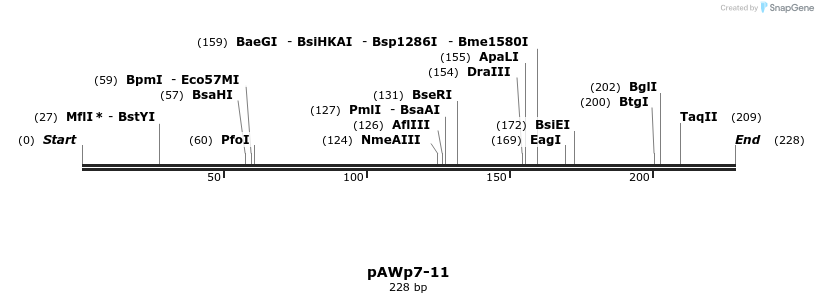 136478_map