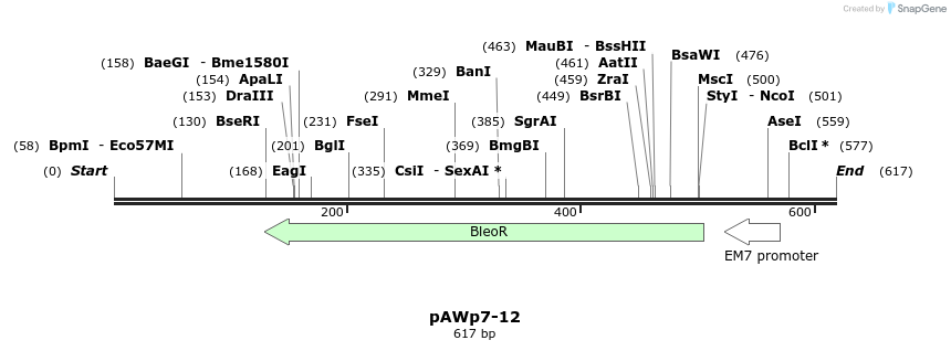 136479_map