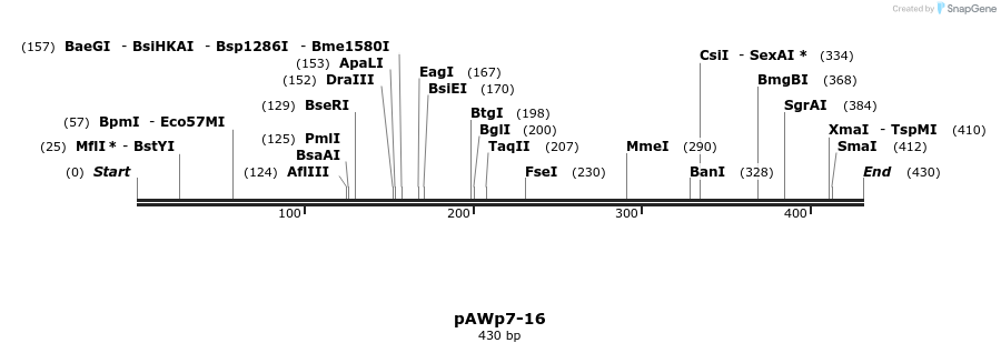 136481_map