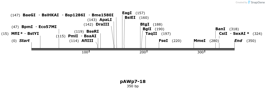 136484_map