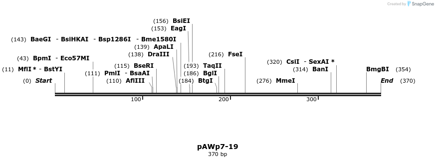 136485_map