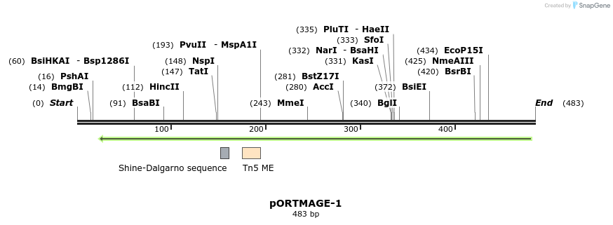 136486_map