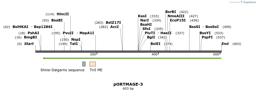 136490_map