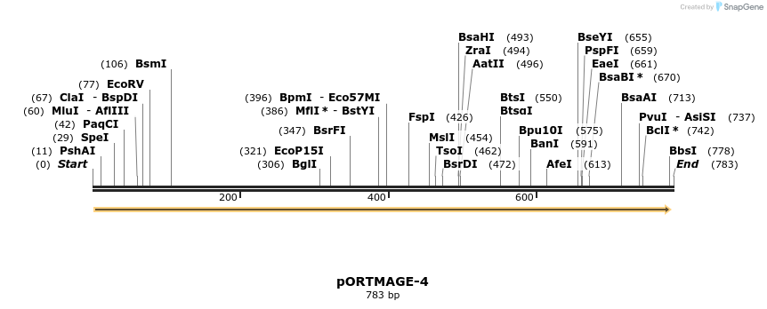 136494_map