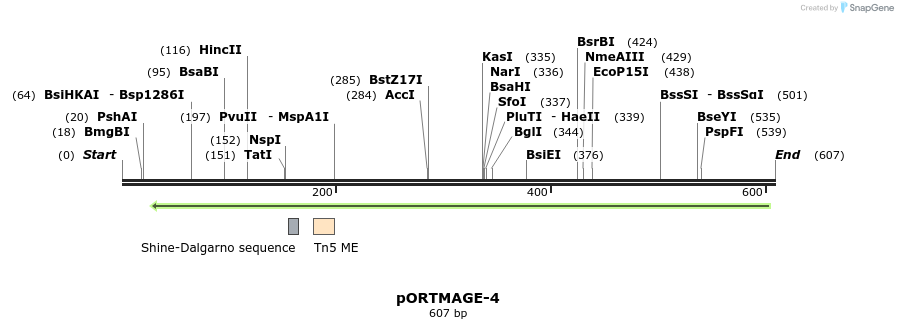 136495_map