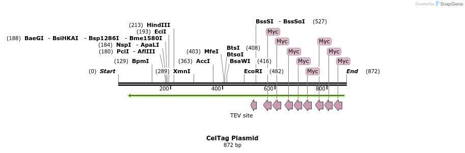 136496_map