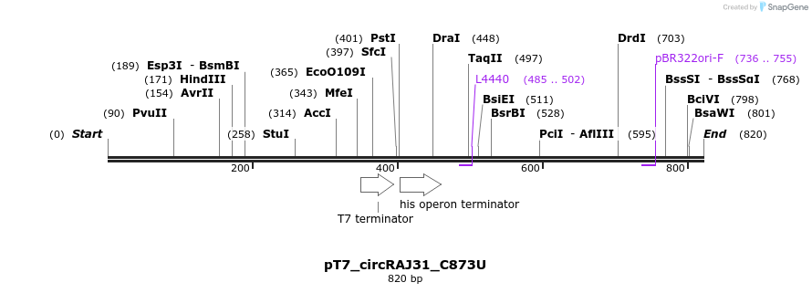 136497_map