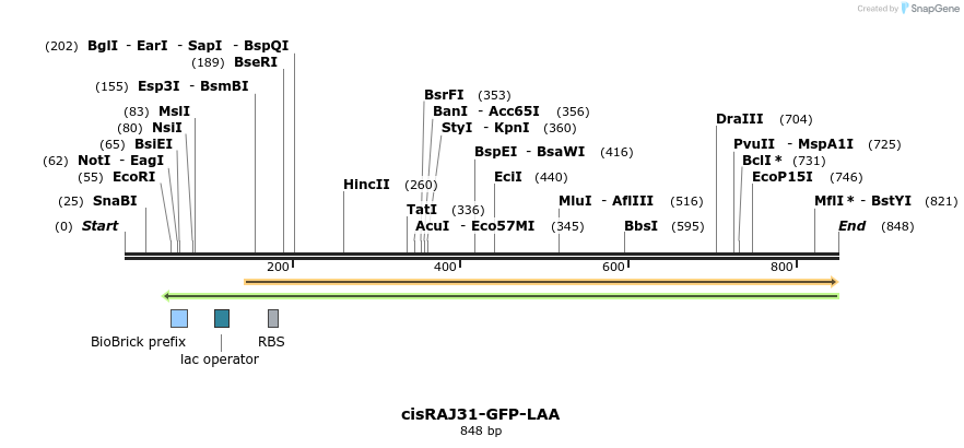 136501_map