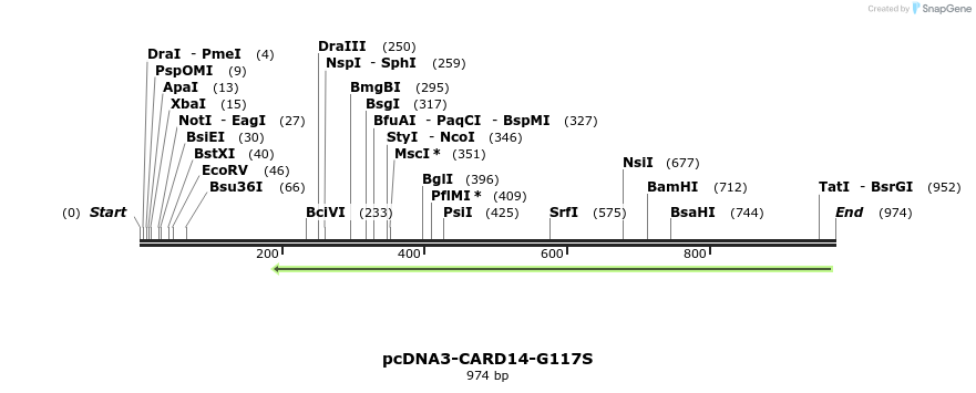 136510_map