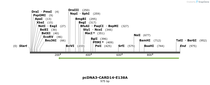 136512_map