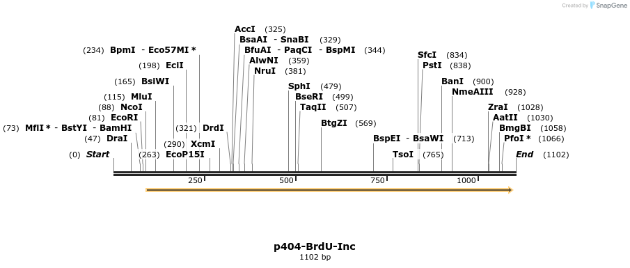 136515_map