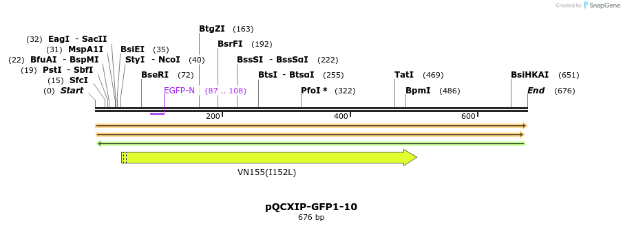 136530_map
