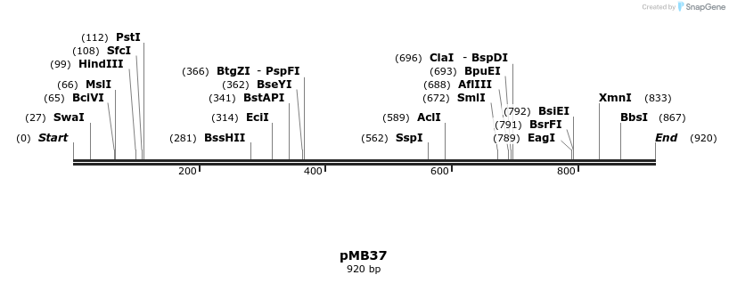 136531_map