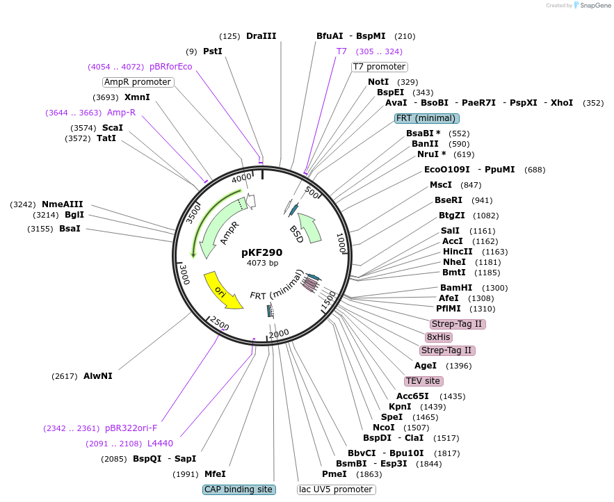 136540_map