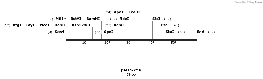 136582_map