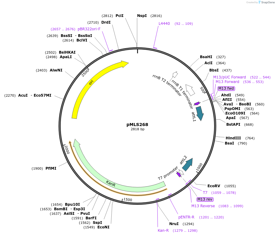 136602_map