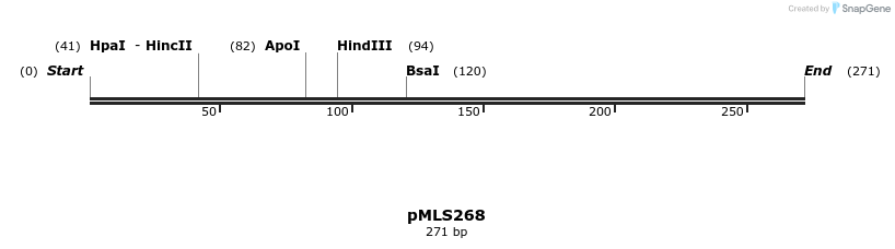 136603_map