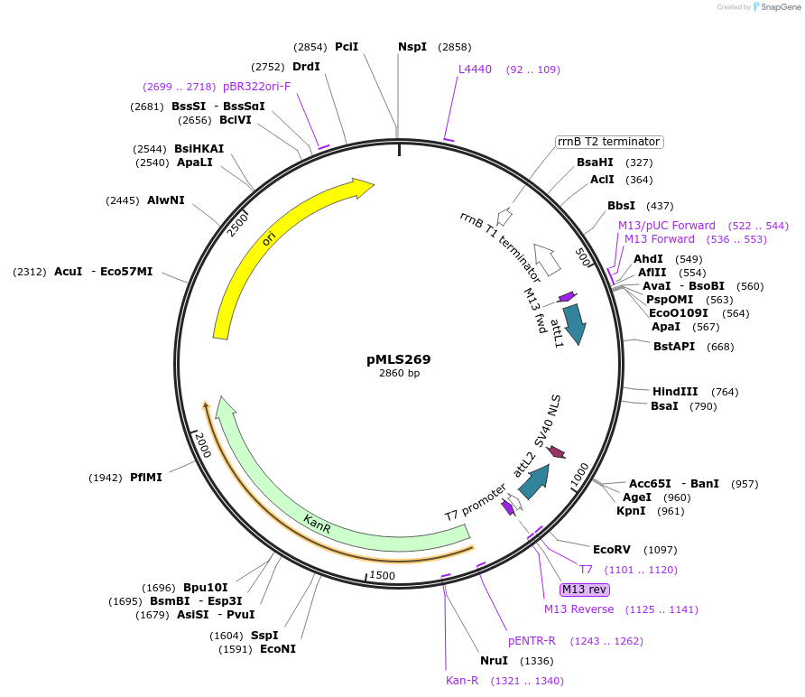 136604_map