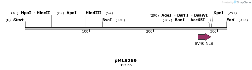 136605_map