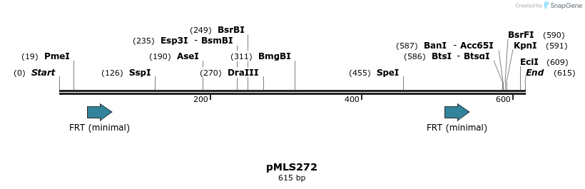 136607_map