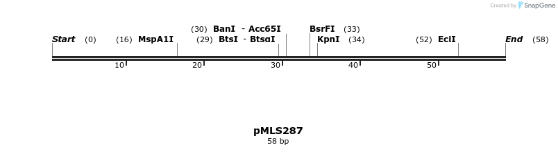 136611_map