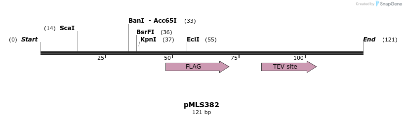 136613_map