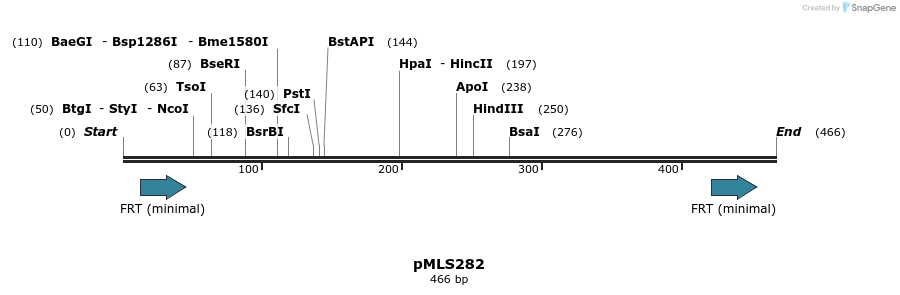 136617_map
