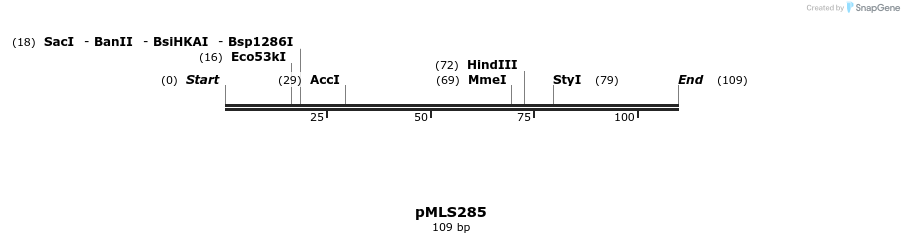136619_map