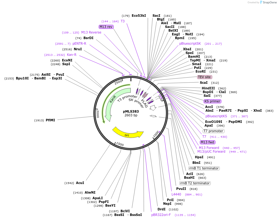 136622_map
