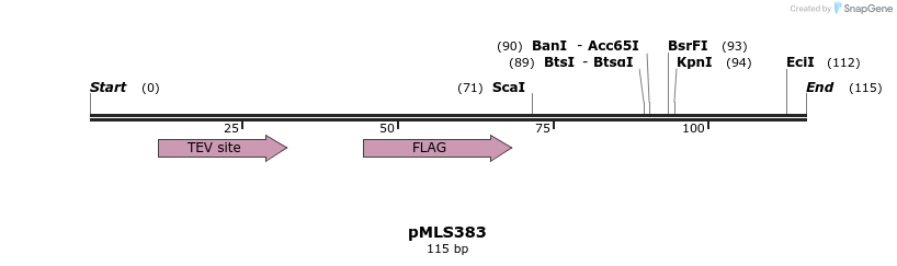 136623_map