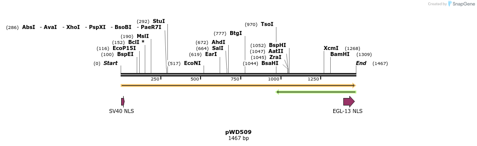 136629_map