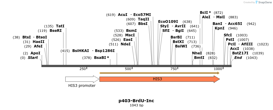 136631_map