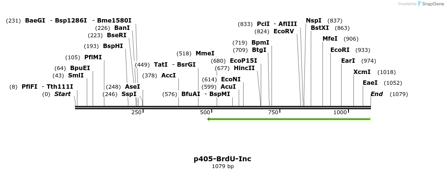 136635_map