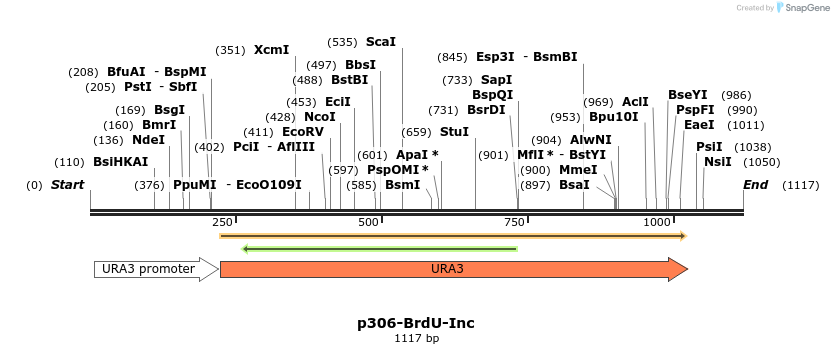 136638_map