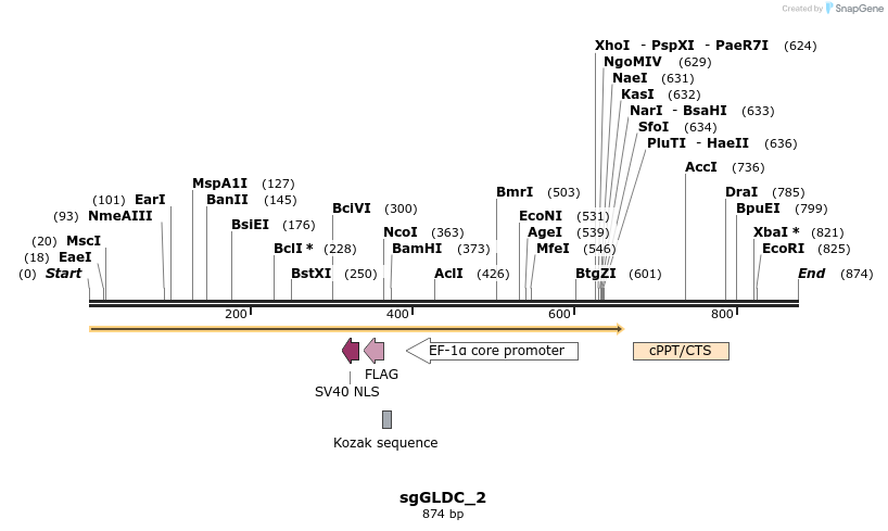 136660_map