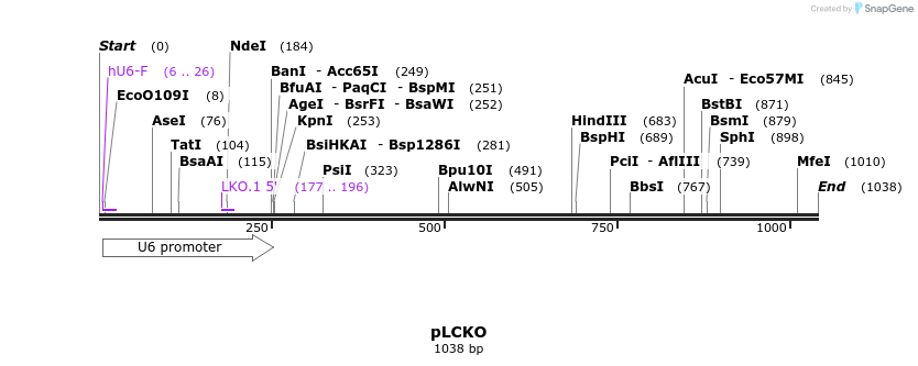 136661_map