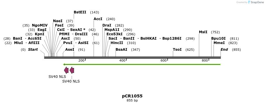 136664_map
